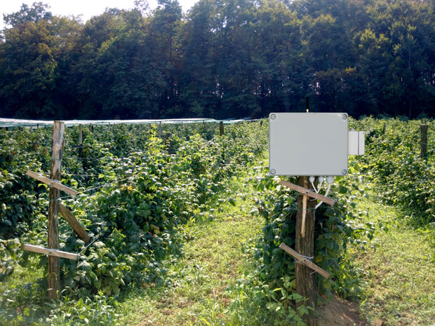 Пошаљи поруку да залијеш башту